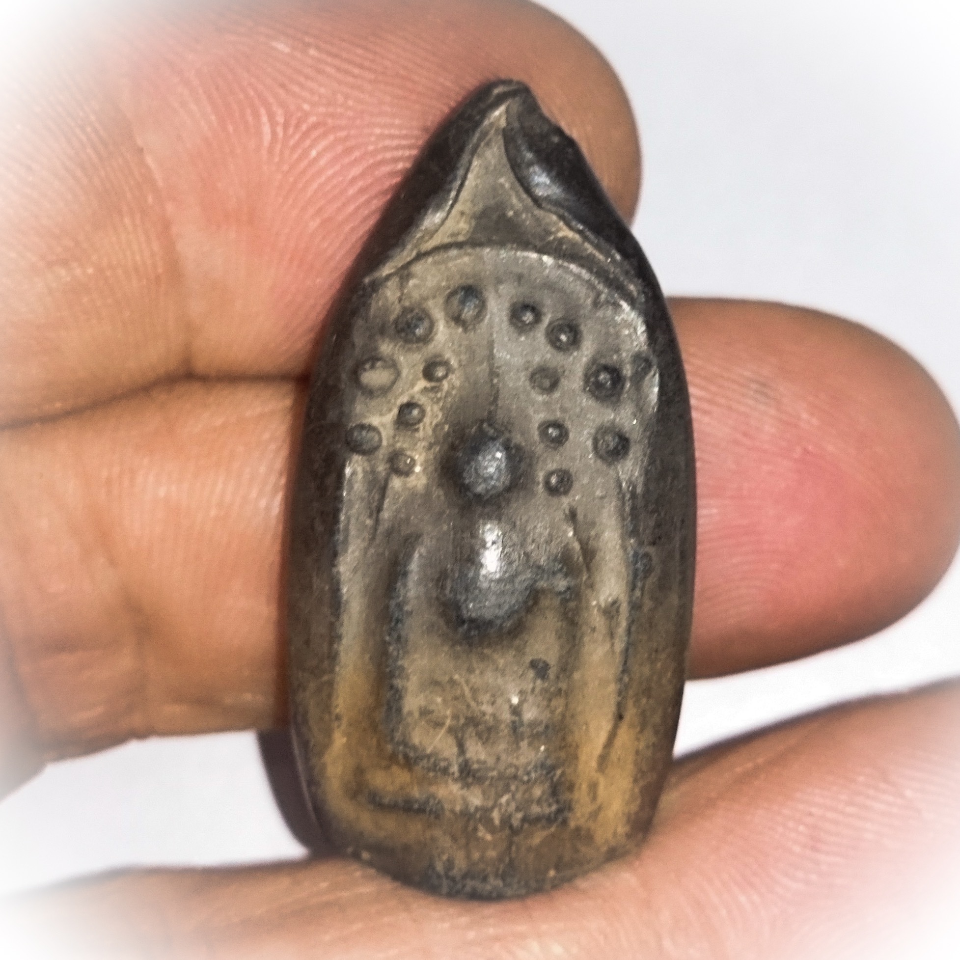Pra Kring Klong Takian Nuea Pong Bai Lan 2485 BE - Luang Por Plern - Wat Nong Mai Luang