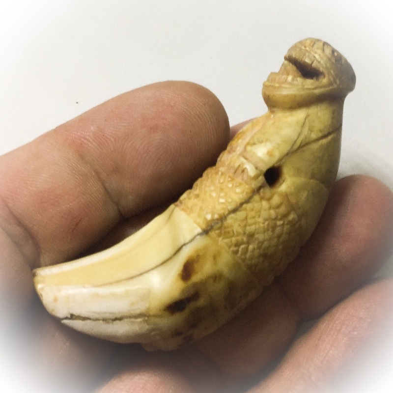 Khiaw Suea Tiger Tooth Amulet - Luang Por Nok - Wat Sangkasi - Circa 2450 BE - Kong Grapan Chadtri Maha Amnaj Talismanic Amulet of Master Class Status