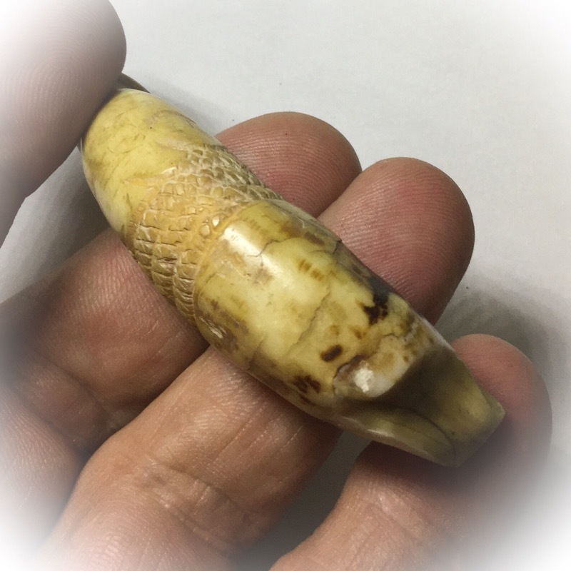 Khiaw Suea Tiger Tooth Amulet - Luang Por Nok - Wat Sangkasi - Circa 2450 BE - Kong Grapan Chadtri Maha Amnaj Talismanic Amulet of Master Class Status