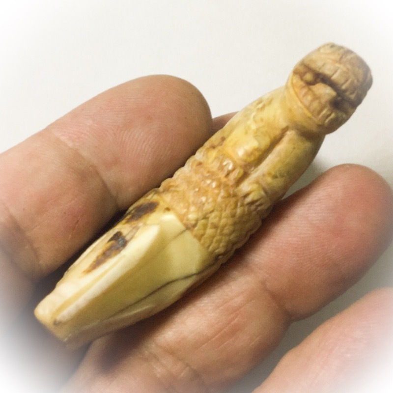 Khiaw Suea Tiger Tooth Amulet - Luang Por Nok - Wat Sangkasi - Circa 2450 BE - Kong Grapan Chadtri Maha Amnaj Talismanic Amulet of Master Class Status