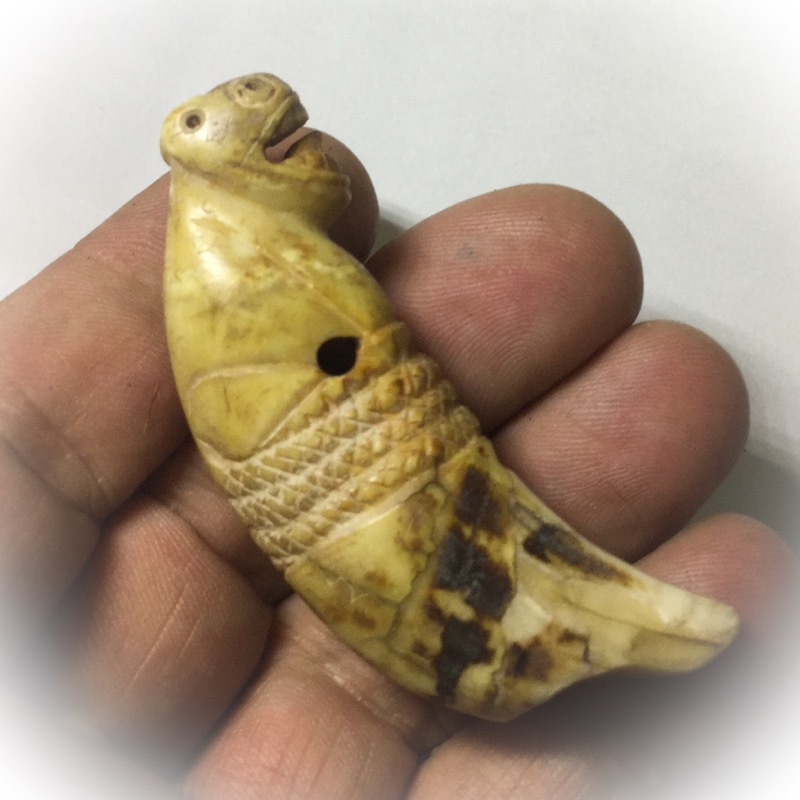 Khiaw Suea Tiger Tooth Amulet - Luang Por Nok - Wat Sangkasi - Circa 2450 BE - Kong Grapan Chadtri Maha Amnaj Talismanic Amulet of Master Class Status