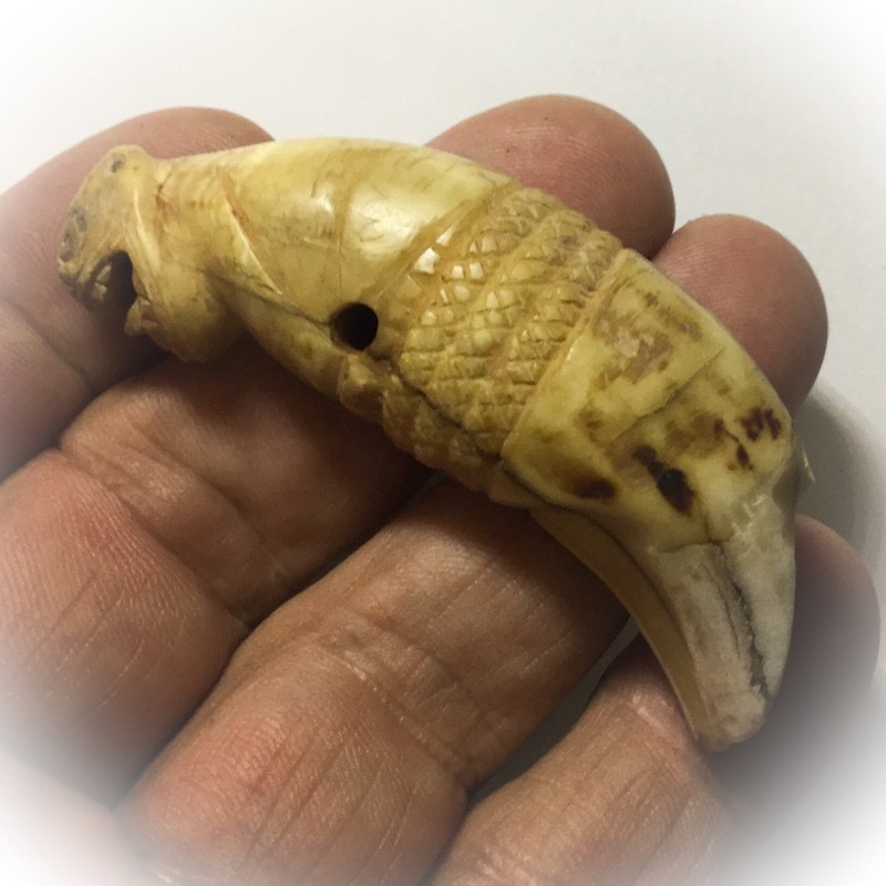 Khiaw Suea Tiger Tooth Amulet - Luang Por Nok - Wat Sangkasi - Circa 2450 BE - Kong Grapan Chadtri Maha Amnaj Talismanic Amulet of Master Class Status