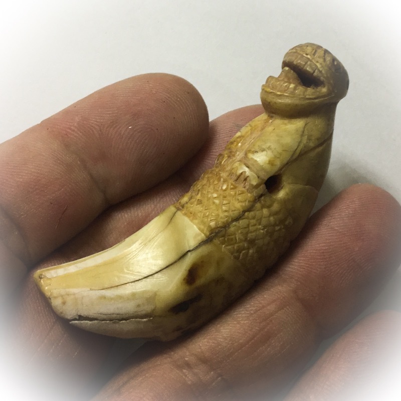Khiaw Suea Tiger Tooth Amulet - Luang Por Nok - Wat Sangkasi - Circa 2450 BE - Kong Grapan Chadtri Maha Amnaj Talismanic Amulet of Master Class Status
