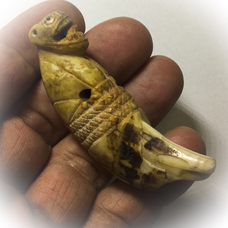 Khiaw Suea Tiger Tooth Amulet - Luang Por Nok - Wat Sangkasi - Circa 2450 BE - Kong Grapan Chadtri Maha Amnaj Talismanic Amulet of Master Class Status