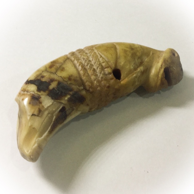 Khiaw Suea Tiger Tooth Amulet - Luang Por Nok - Wat Sangkasi - Circa 2450 BE - Kong Grapan Chadtri Maha Amnaj Talismanic Amulet of Master Class Status