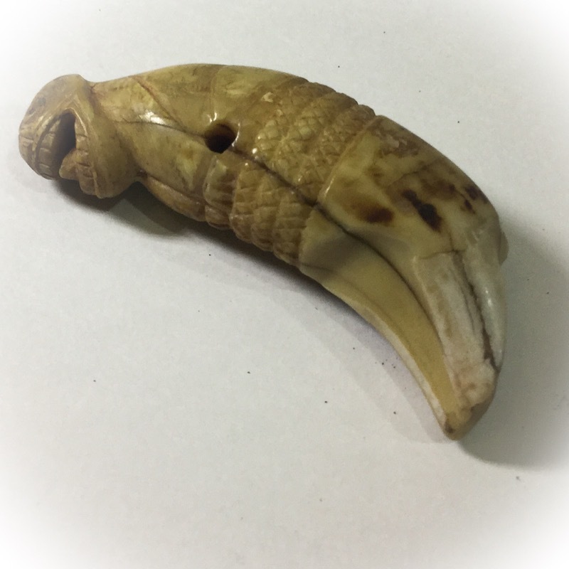 Khiaw Suea Tiger Tooth Amulet - Luang Por Nok - Wat Sangkasi - Circa 2450 BE - Kong Grapan Chadtri Maha Amnaj Talismanic Amulet of Master Class Status