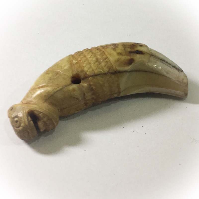 Khiaw Suea Tiger Tooth Amulet - Luang Por Nok - Wat Sangkasi - Circa 2450 BE - Kong Grapan Chadtri Maha Amnaj Talismanic Amulet of Master Class Status