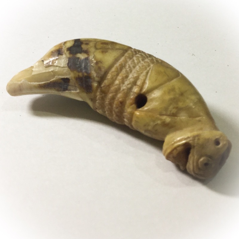 Khiaw Suea Tiger Tooth Amulet - Luang Por Nok - Wat Sangkasi - Circa 2450 BE - Kong Grapan Chadtri Maha Amnaj Talismanic Amulet of Master Class Status