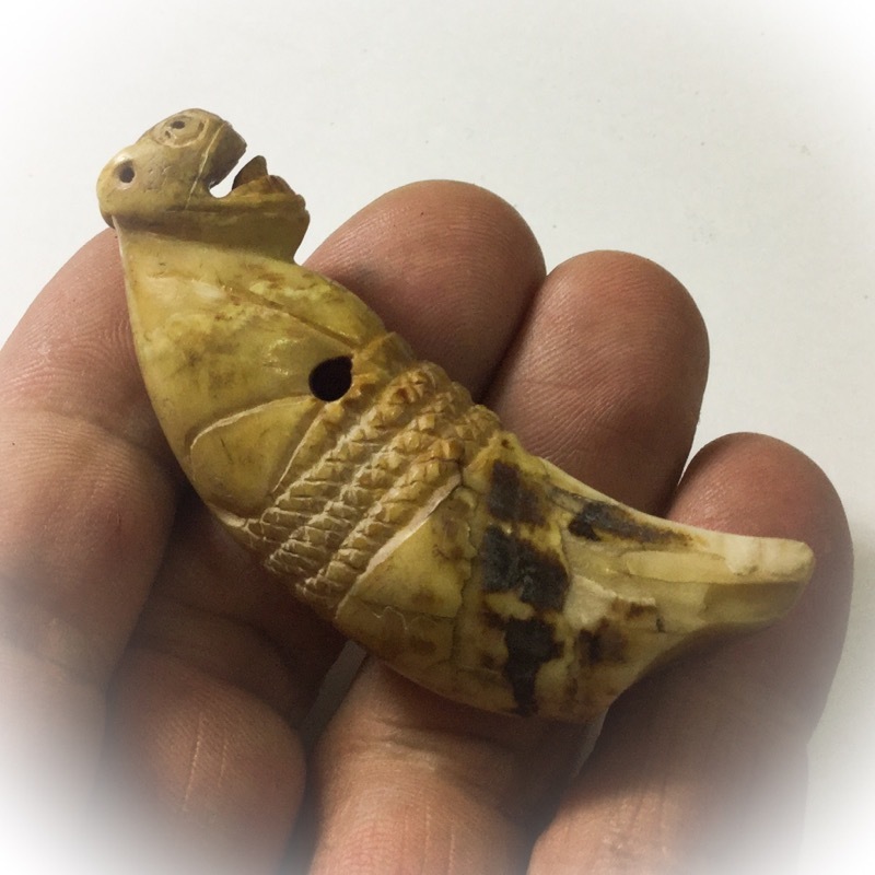 Khiaw Suea Tiger Tooth Amulet - Luang Por Nok - Wat Sangkasi - Circa 2450 BE - Kong Grapan Chadtri Maha Amnaj Talismanic Amulet of Master Class Status