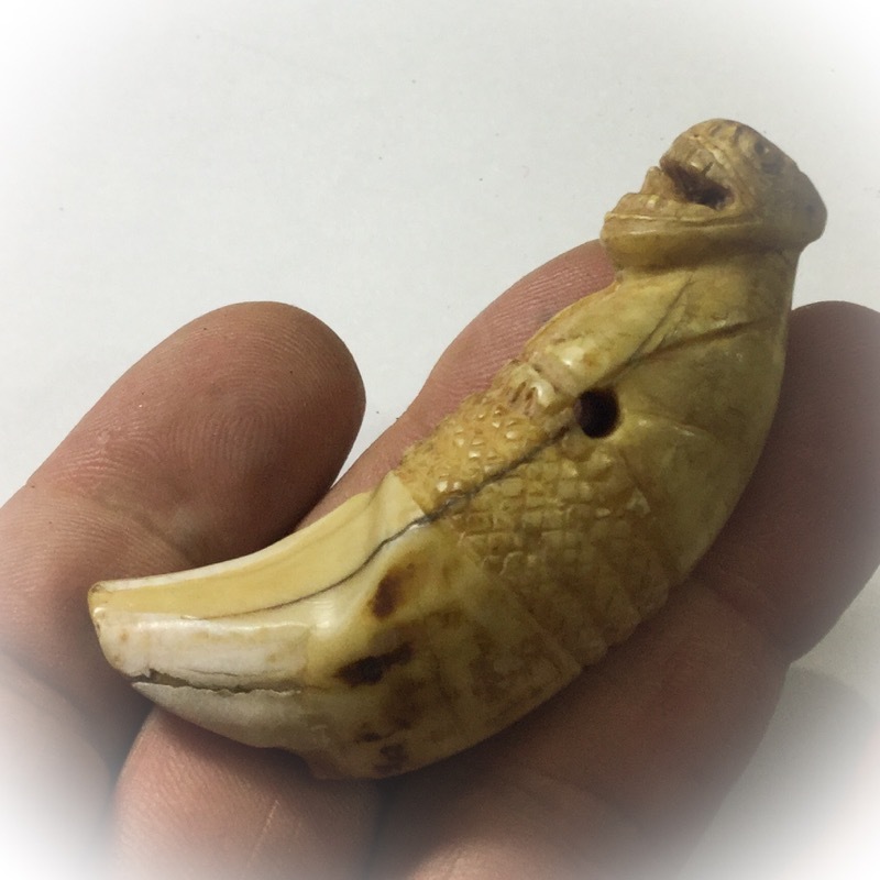 Khiaw Suea Tiger Tooth Amulet - Luang Por Nok - Wat Sangkasi - Circa 2450 BE - Kong Grapan Chadtri Maha Amnaj Talismanic Amulet of Master Class Status