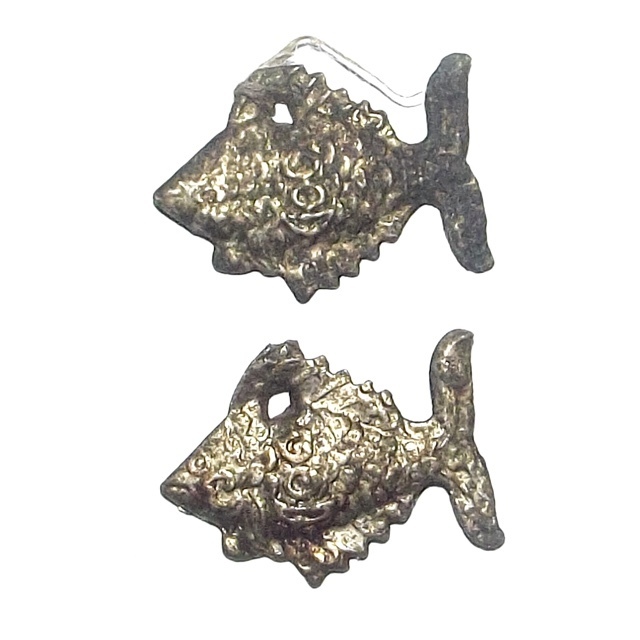 Pla Tapian Koo Ngern Tong Dtua Phu Dtua Mia Male-Female Wealthy Bringing Fish 2485 BE - Luang Por Jong - Wat Na Tang Nork 02854