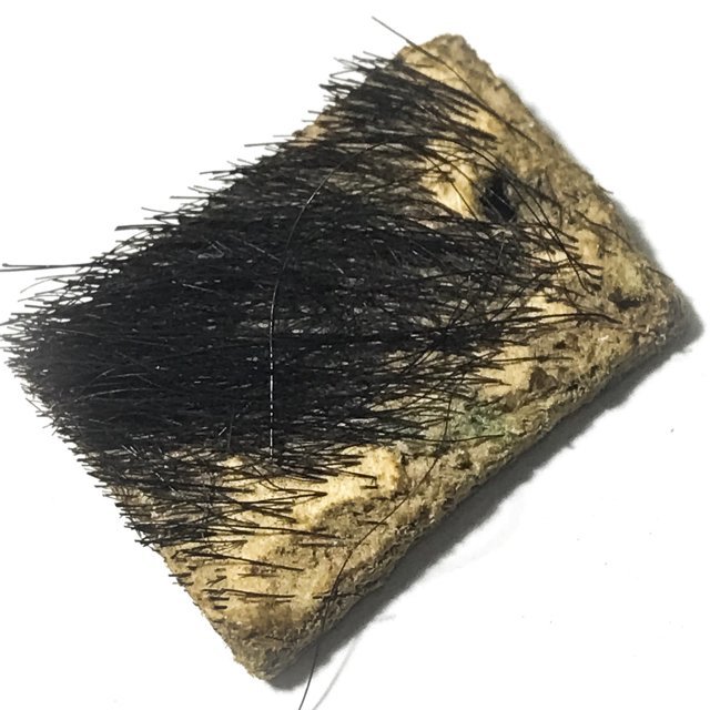 Hnaa Phaag Suea Maha Amnaj Indochina Wartime Tiger Forehead Amulet Circa 2480 BE - Luang Por Jong - Wat Na Tang Nork Hnaa Phaag Suea Maha Amnaj Indochina Wartime Tiger Forehead Amulet Circa 2480 BE - Luang Por Jong - Wat Na Tang Nork