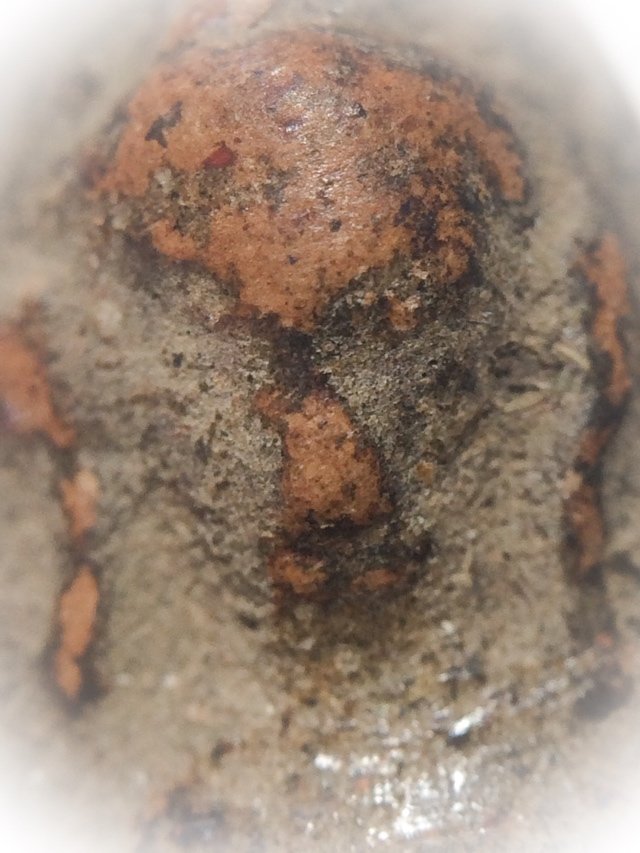 Pra Pong Supan Pim Hnaa Gae Kru Wat Pra Sri Ratana Mahatat Benjapakee Amulet With Authenticity Certificate