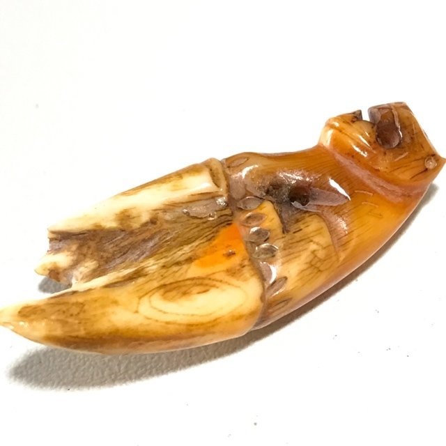 Khiaw Gae Suea Carved Tooth Tiger Amulet 4 Cm Luang Por Parn Wat Bang Hia (2368 - 2453 BE) - Kong Grapan Chadtri Maha Amnaj Talismanic Amulet of Master Class Status 03577