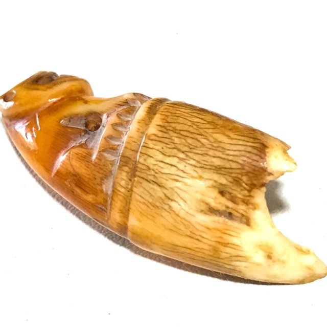 Khiaw Gae Suea Carved Tooth Tiger Amulet 4 Cm Luang Por Parn Wat Bang Hia (2368 - 2453 BE) - Kong Grapan Chadtri Maha Amnaj Talismanic Amulet of Master Class Status