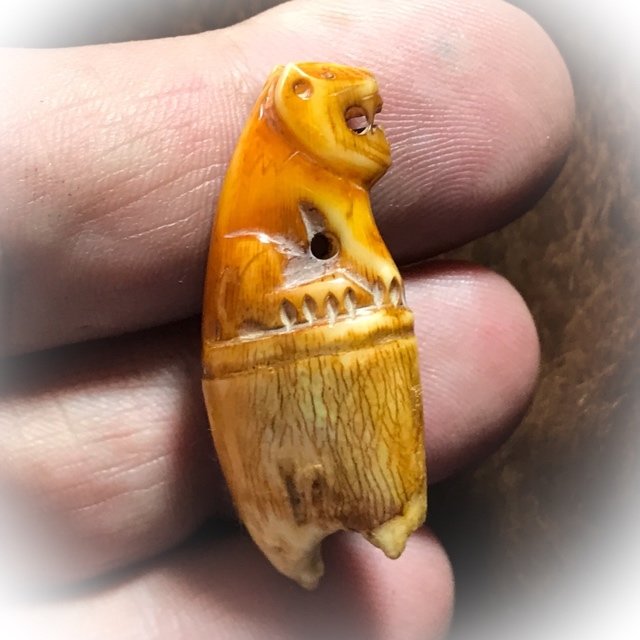 Khiaw Gae Suea Carved Tooth Tiger Amulet 4 Cm Luang Por Parn Wat Bang Hia (2368 - 2453 BE) - Kong Grapan Chadtri Maha Amnaj Talismanic Amulet of Master Class Status