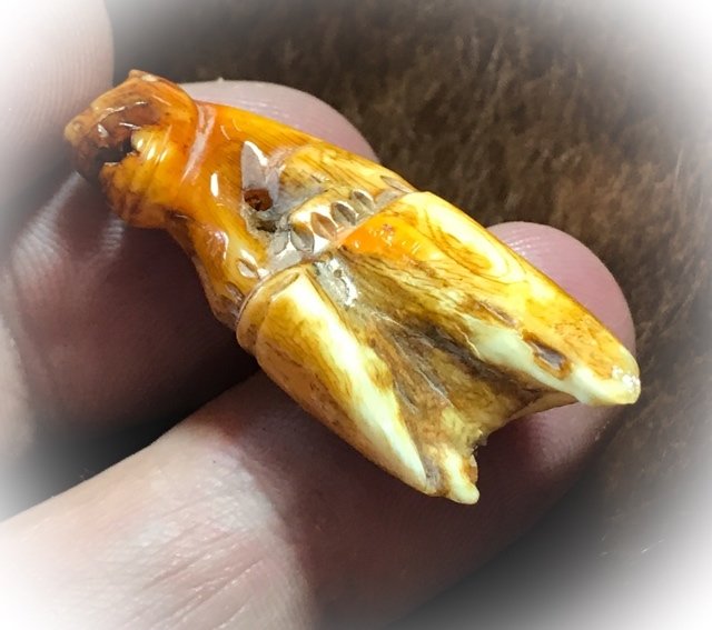 Khiaw Gae Suea Carved Tooth Tiger Amulet 4 Cm Luang Por Parn Wat Bang Hia (2368 - 2453 BE) - Kong Grapan Chadtri Maha Amnaj Talismanic Amulet of Master Class Status