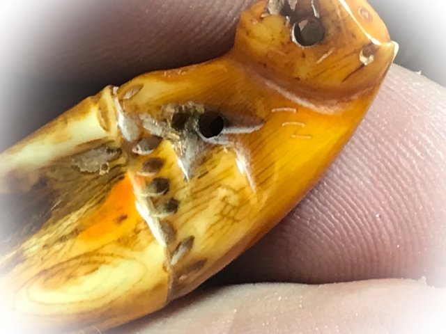 Khiaw Gae Suea Carved Tooth Tiger Amulet 4 Cm Luang Por Parn Wat Bang Hia (2368 - 2453 BE) - Kong Grapan Chadtri Maha Amnaj Talismanic Amulet of Master Class Status