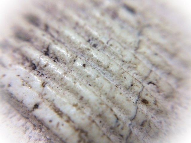 Pra Somdej Wat Gaes Chaiyo Pim Gao Chan Nork Pim Circa 2390-6 BE With Certificate of Authenticity Somdej Dto Prohmrangsri