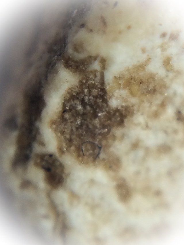 Pra Somdej Wat Gaes Chaiyo Pim Gao Chan Nork Pim Circa 2390-6 BE With Certificate of Authenticity Somdej Dto Prohmrangsri