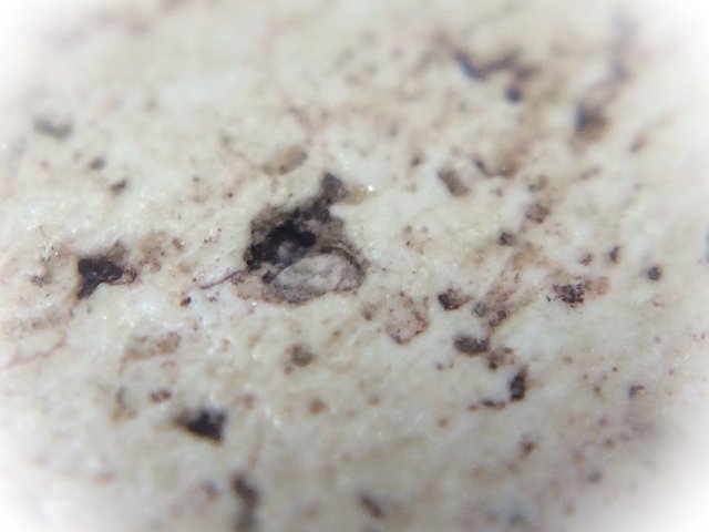 Pra Somdej Wat Gaes Chaiyo Pim Gao Chan Nork Pim Circa 2390-6 BE With Certificate of Authenticity Somdej Dto Prohmrangsri
