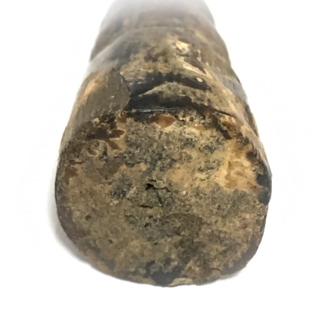 Pra Pid Ta Thaan Sung Nuea Mai Gae Circa 2430 BE Luang Phu Rod Wat Ko Non