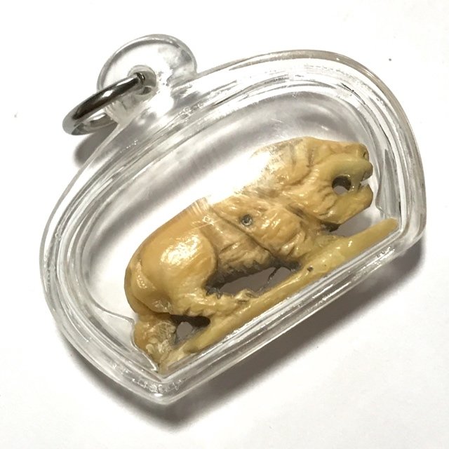 Suea La Hyuea Nga Gae Carved Tiger Hunting Prey Luang Por Heng Circa 2460 BE Wat Khao Din