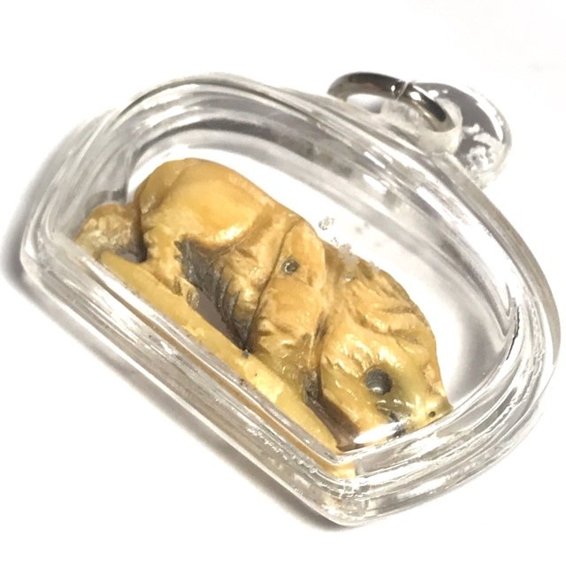 Suea La Hyuea Nga Gae Carved Tiger Hunting Prey Luang Por Heng Circa 2460 BE Wat Khao Din