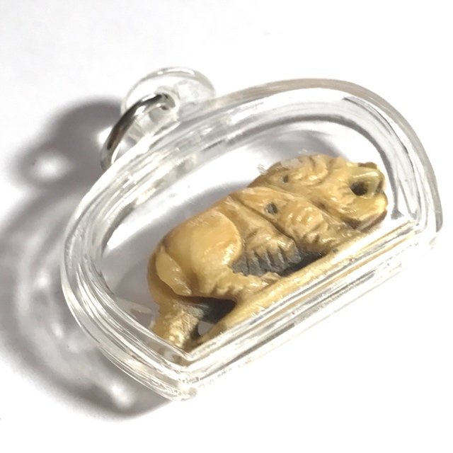 Suea La Hyuea Nga Gae Carved Tiger Hunting Prey Luang Por Heng Circa 2460 BE Wat Khao Din