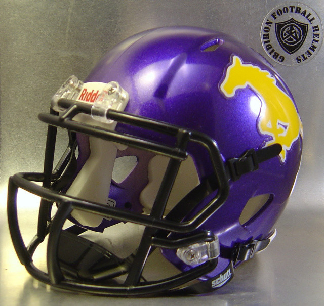 Burges Mustangs HS 2015-2016 (TX) Burges Mustangs HS 2015-2016 (TX)