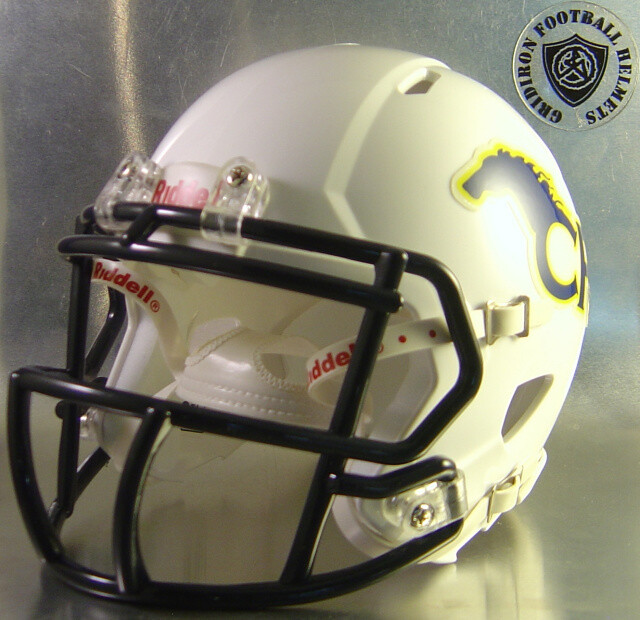 Cypress Ranch Mustangs HS 2014-2017 (TX) (mini-helmet) Cypress Ranch Mustangs HS 2014-2017 (TX) (mini-helmet)