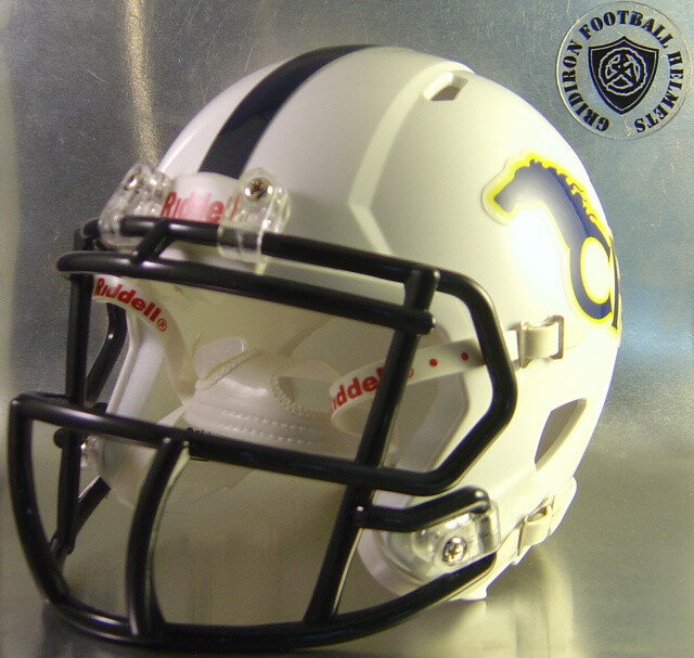 Cypress Ranch Mustangs HS 2012 with navy stripe (TX) (mini-helmet) Cypress Ranch Mustangs HS 2012 with navy stripe (TX) (mini-helmet)