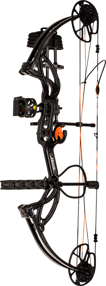 2018 Bear Cruzer G2 00016