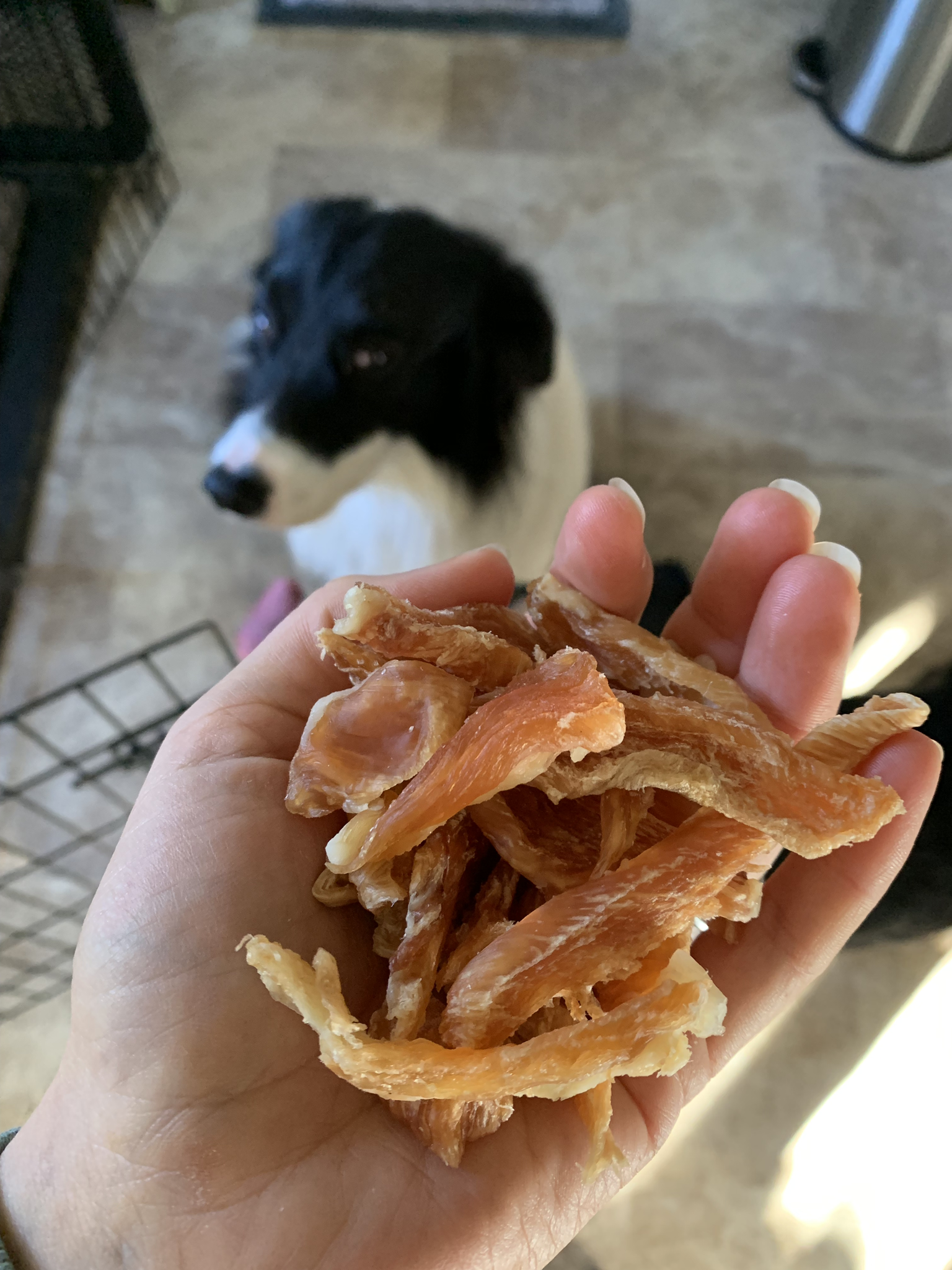 8oz Chicken Treats 00097
