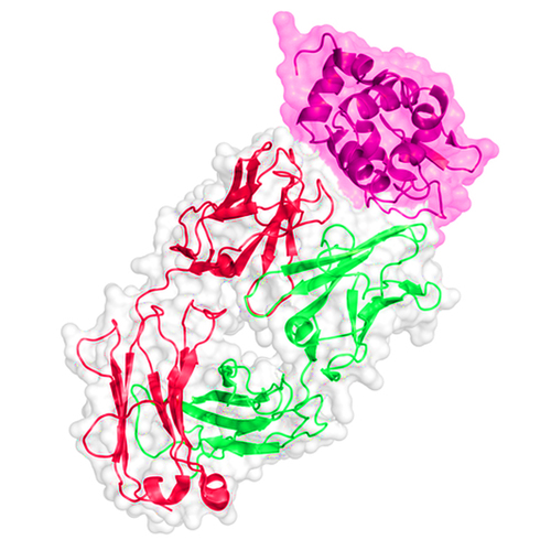 West Nile Virus Antigen, Uganda Strain B956 BC 6340