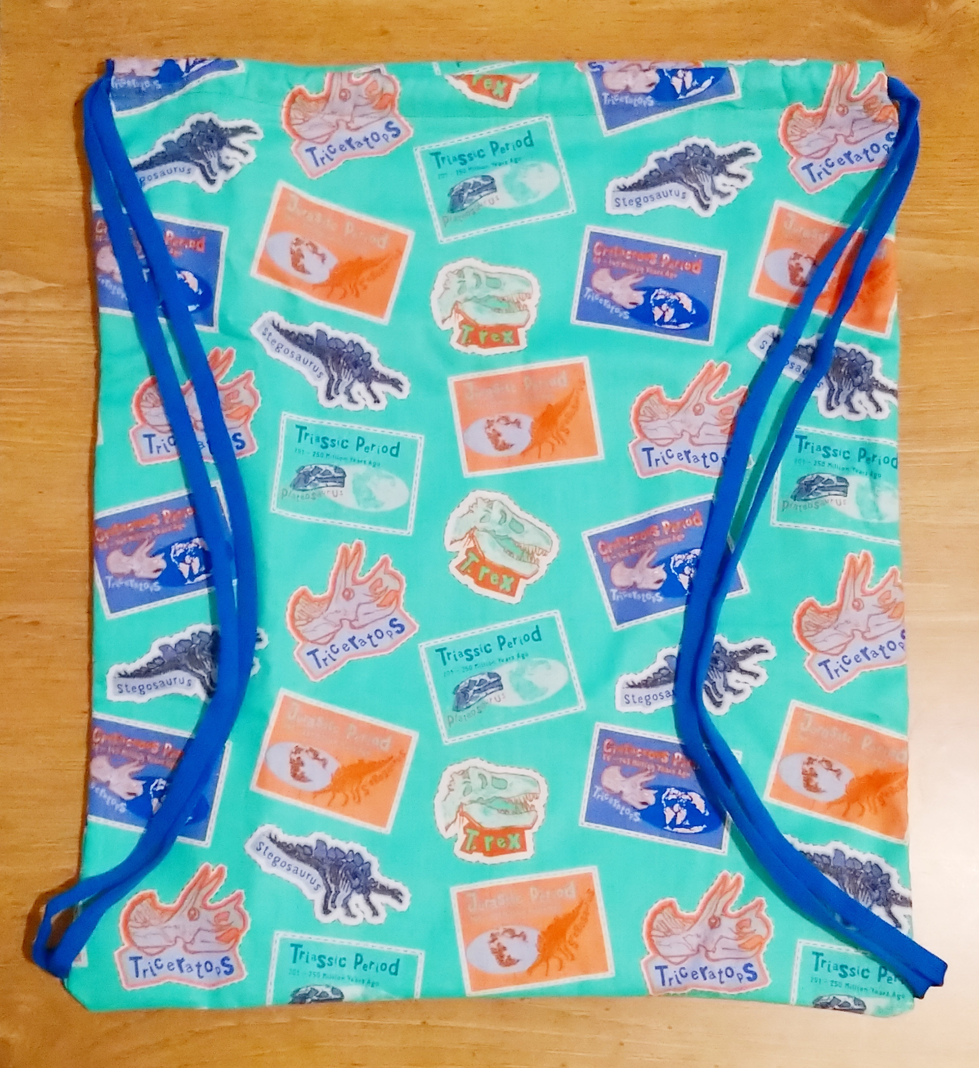 Prehistoric Dinosaur Lined Drawstring Bag 00526