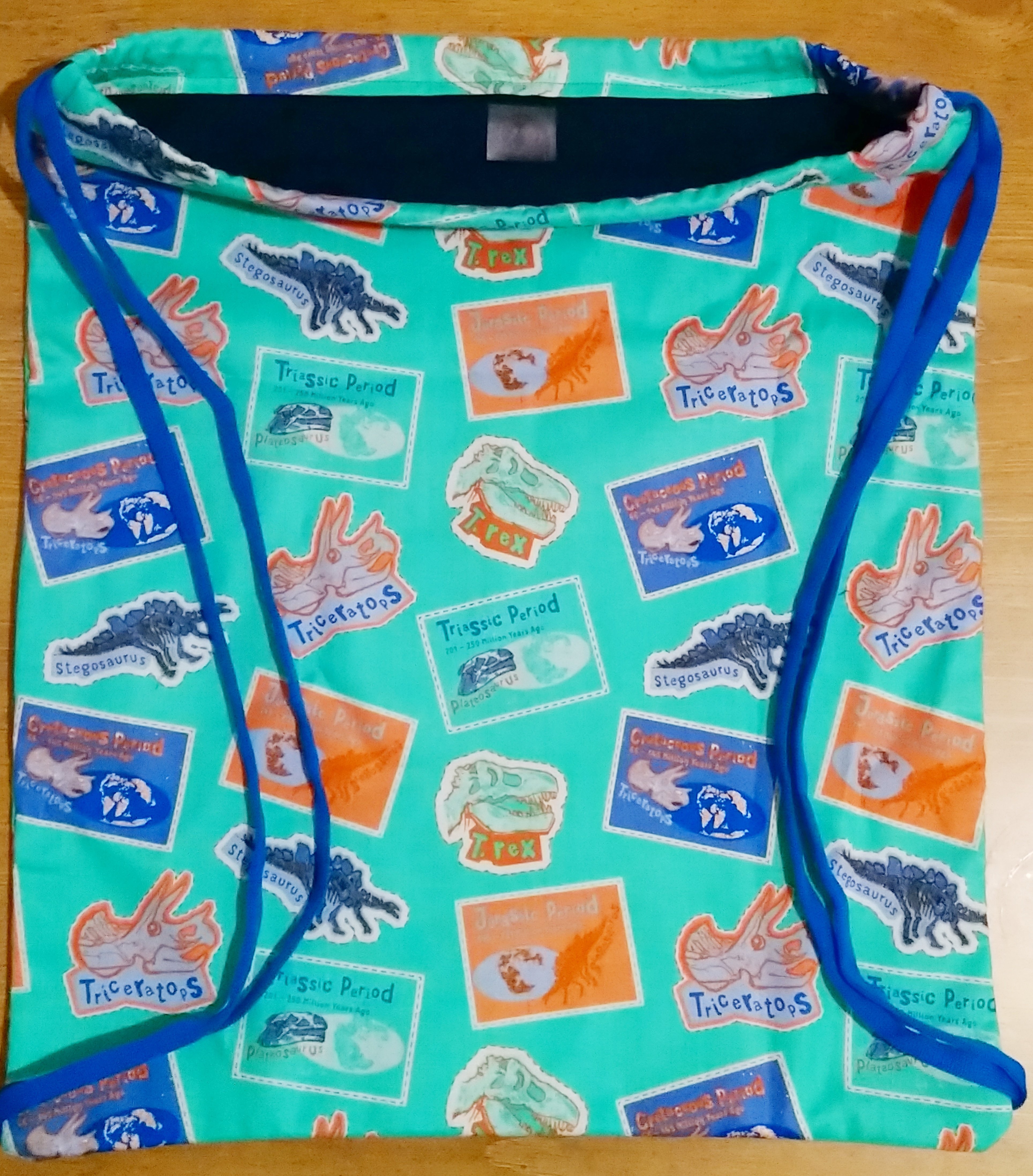 Prehistoric Dinosaur Lined Drawstring Bag