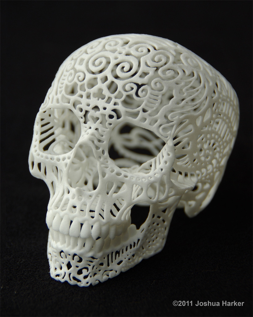Crania Anatomica Filigre 3d printed skull: iso Crania Anatomica Filigre 3d printed skull: iso