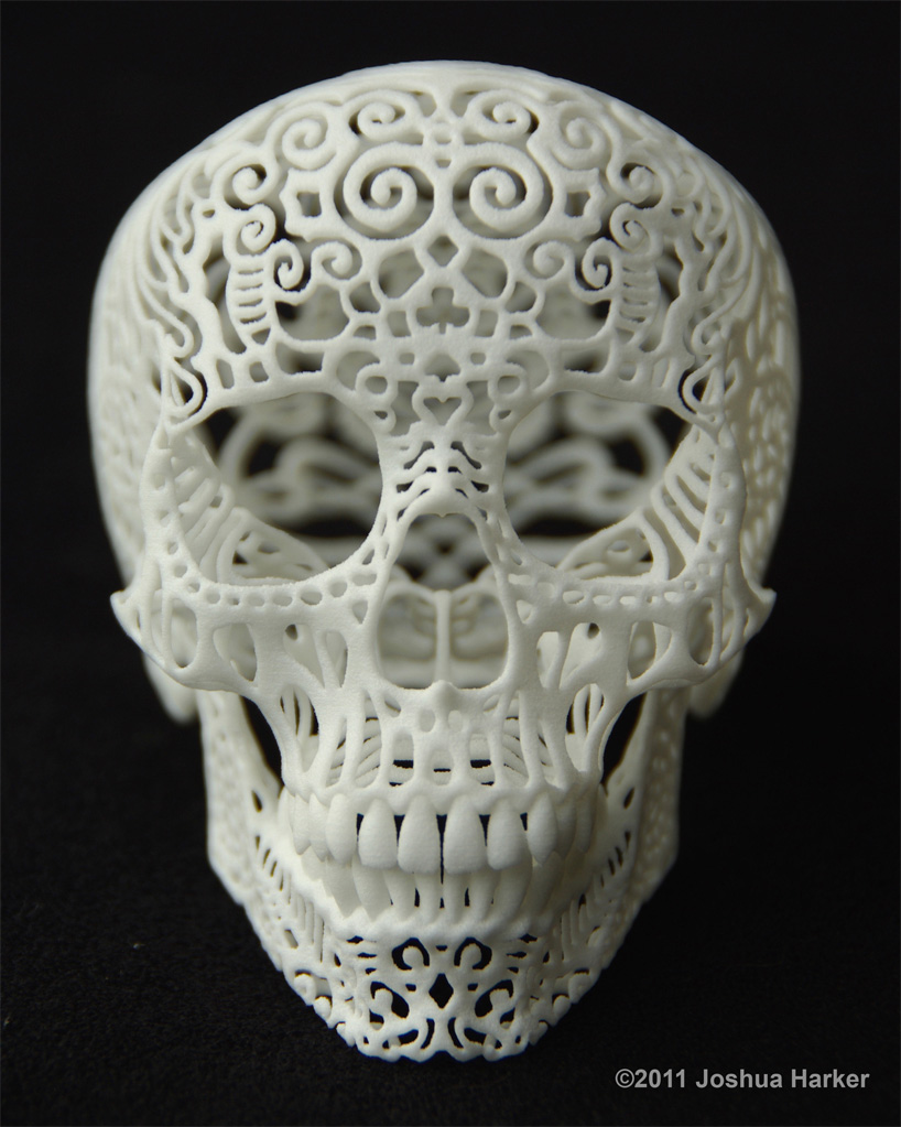 Crania Anatomica Filigre 3d printed skull: front Crania Anatomica Filigre 3d printed skull: front
