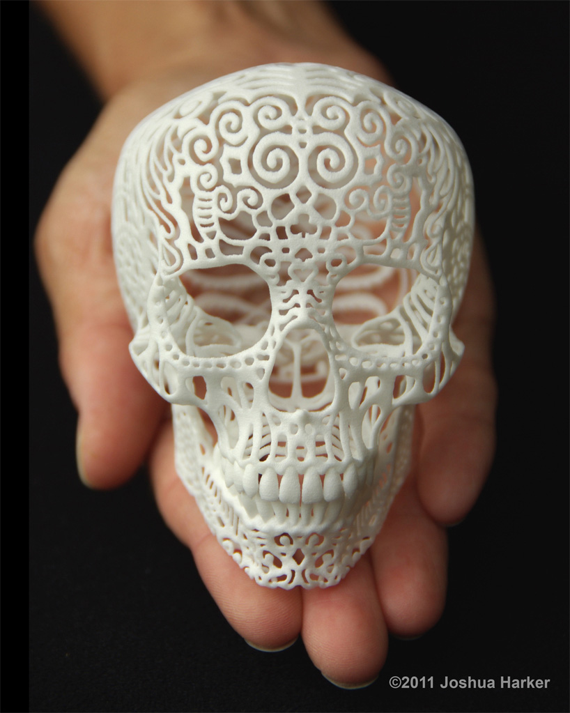 Crania Anatomica Filigre 3d printed skull: small Crania Anatomica Filigre 3d printed skull: small