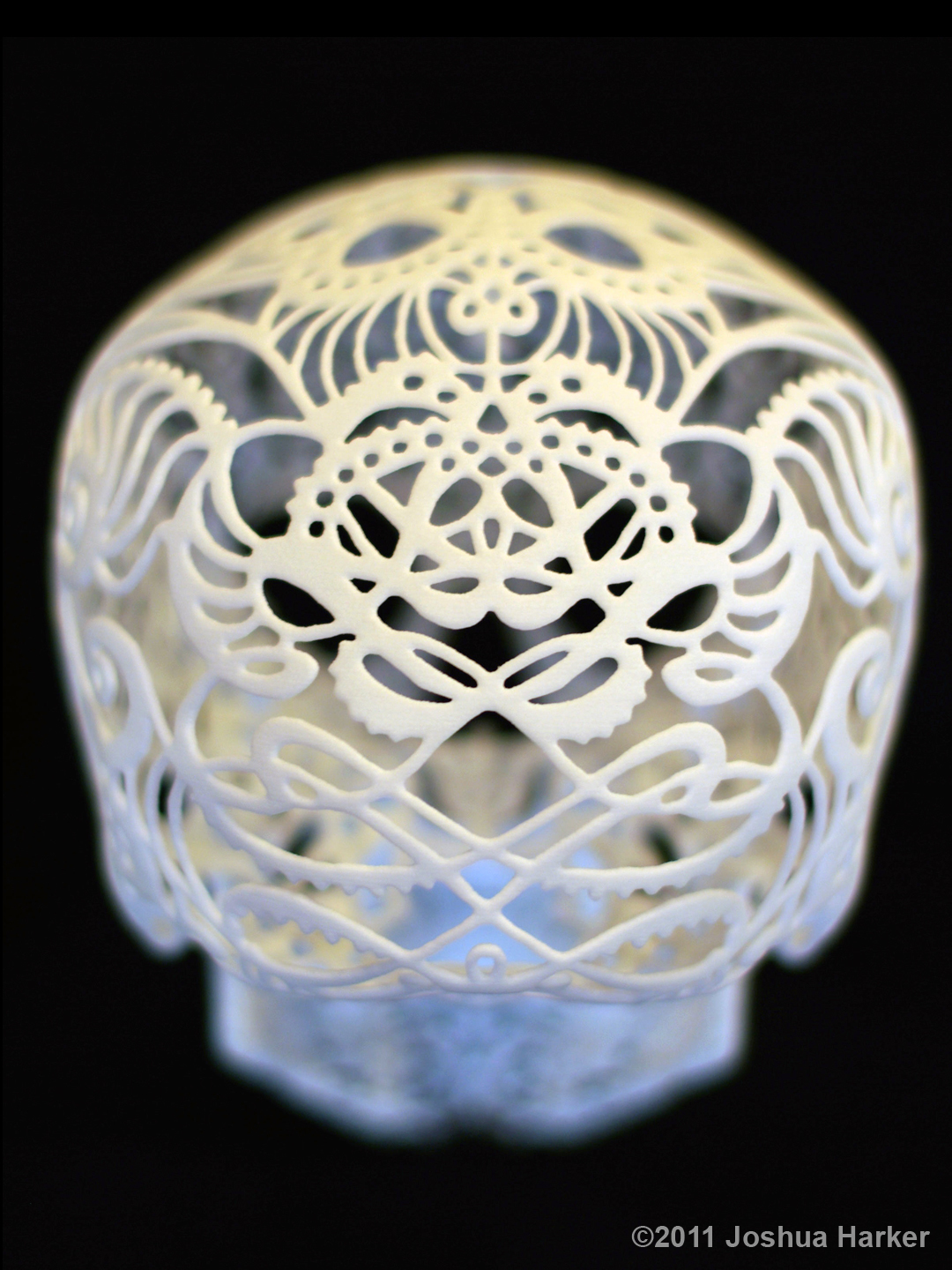Crania Anatomica Filigre 3d printed skull: back Crania Anatomica Filigre 3d printed skull: back