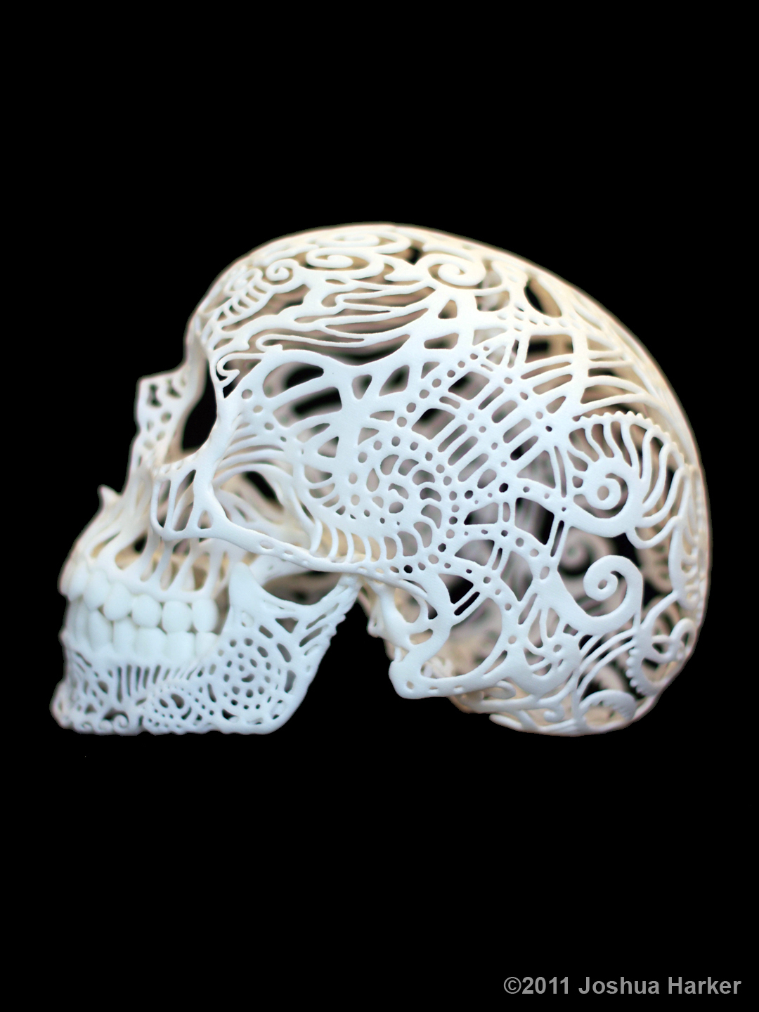 Crania Anatomica Filigre 3d printed skull: side Crania Anatomica Filigre 3d printed skull: side