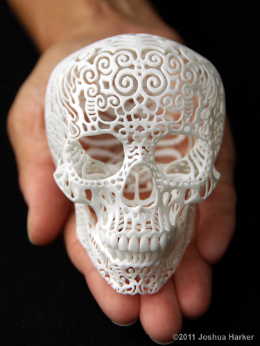 Crania Anatomica Filigre (small) 80009