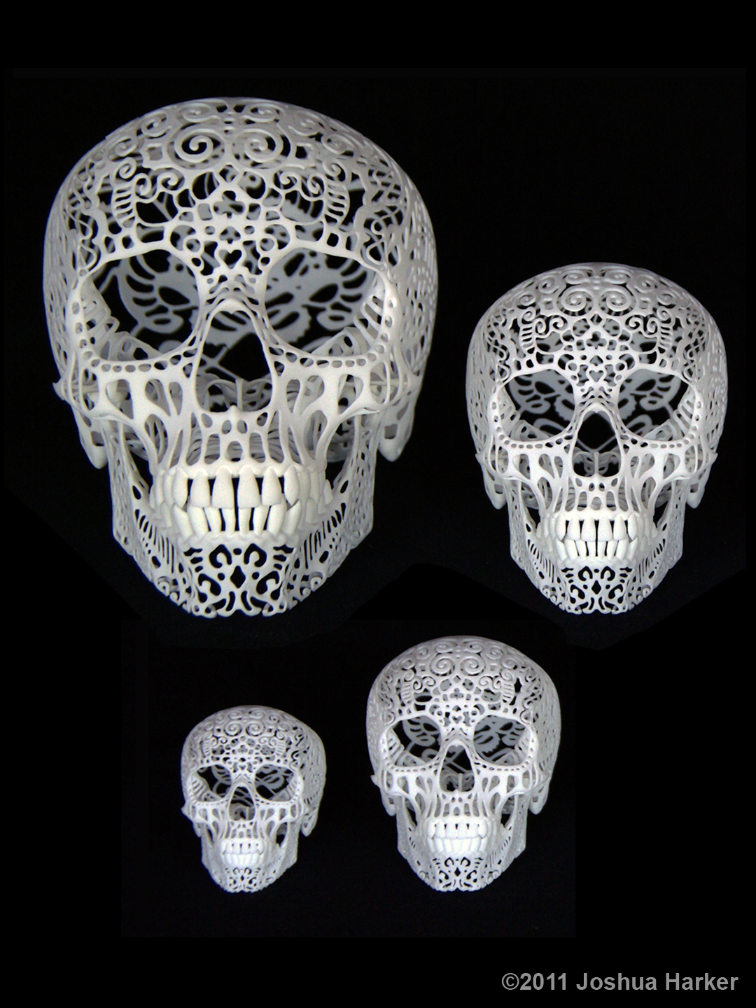Crania Anatomica Filigre 3d printed skull: size comparison Crania Anatomica Filigre 3d printed skull: size comparison
