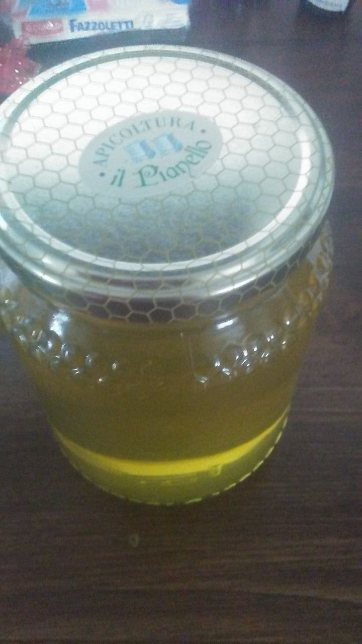 Acacia / 1008 Flowers Amiata Honey 0003