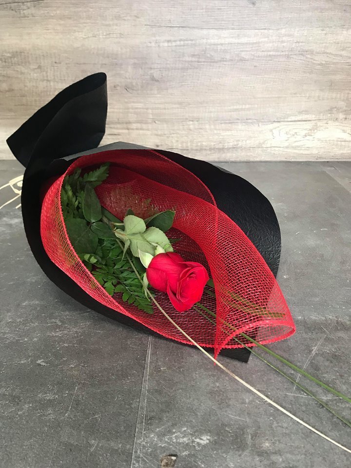 Single Rose 00000