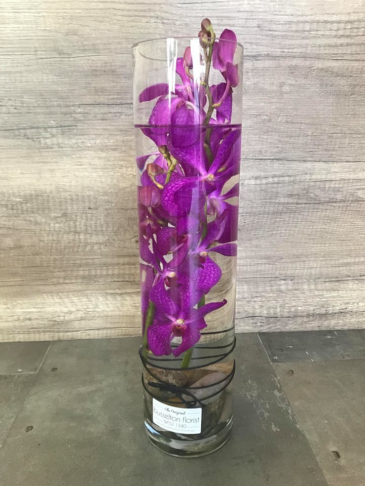 Orchid In a Vase 00014