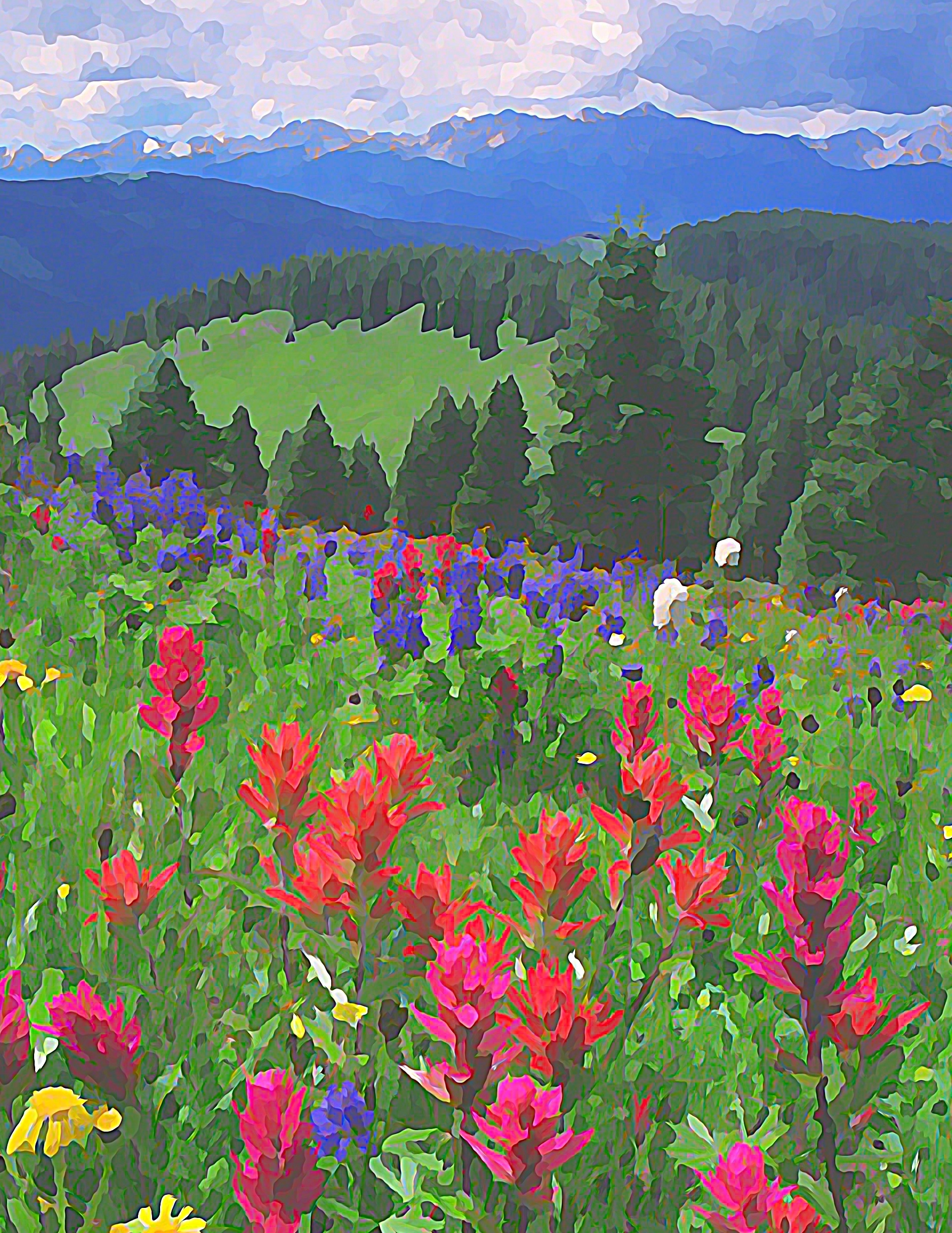 Above Vail Pass, Colorado 00016