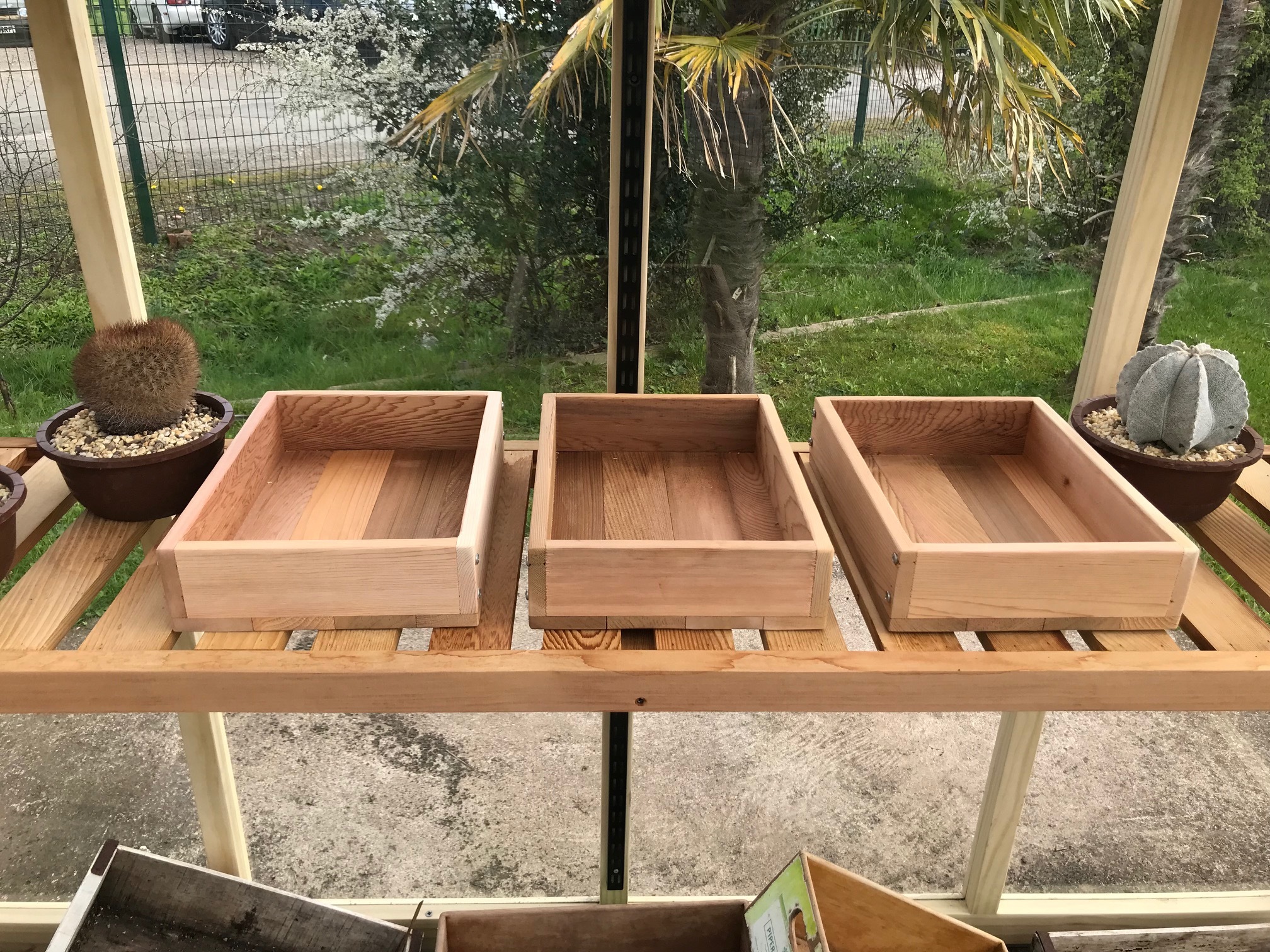 Seed Tray Triple Set 00009