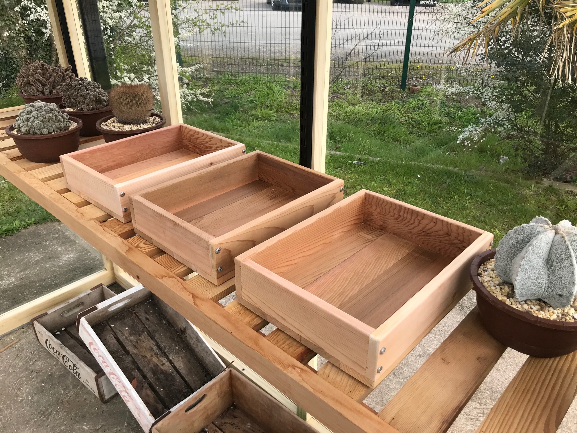 Seed Tray Triple Set